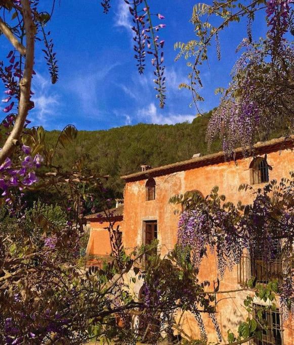 Villa Catalina Aka Villa Almanita Sant Pere De Ribes Exteriér fotografie
